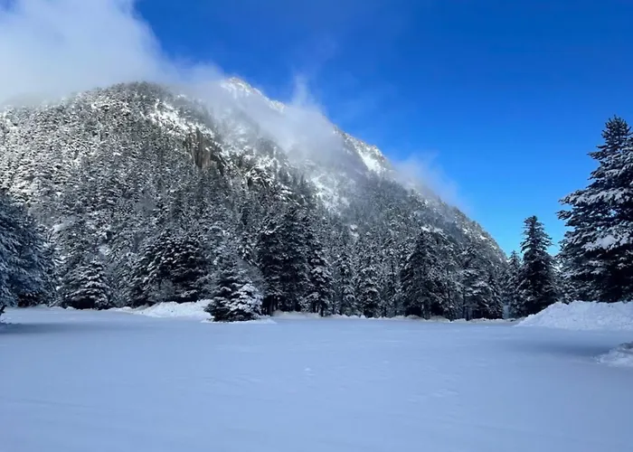 Apartman Le Balcon Du Lys, Parking Prive Et Proche Du Centre
